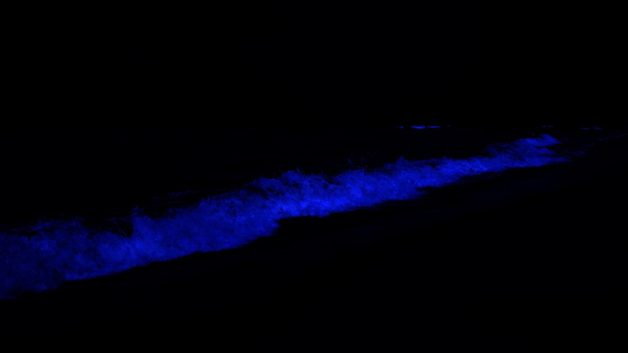 Nessuna pubblicità Sonno profondo con i suoni dell'oceano - Elimina tutta l'energia negativa 💤 Onde