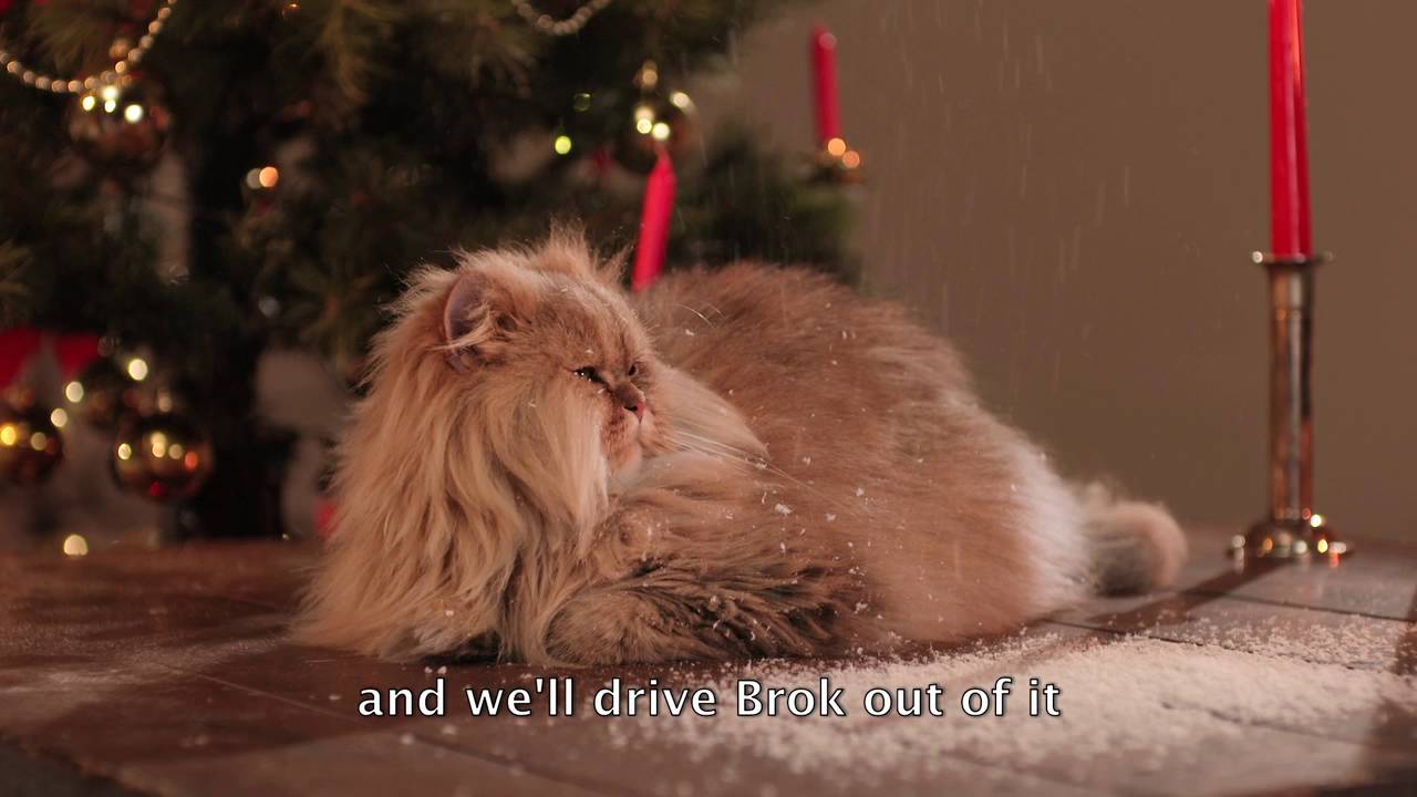 Kocourova koleda ENG subtitles