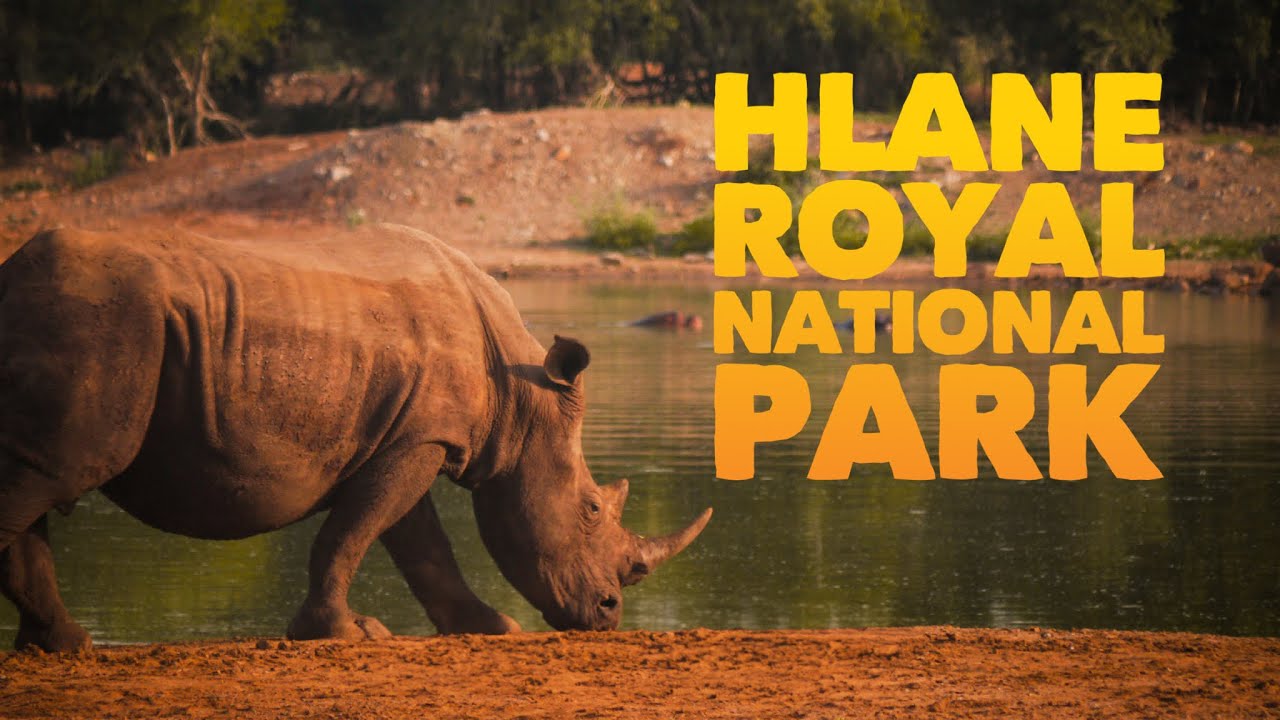 Hlane Royal National Park | Eswatini