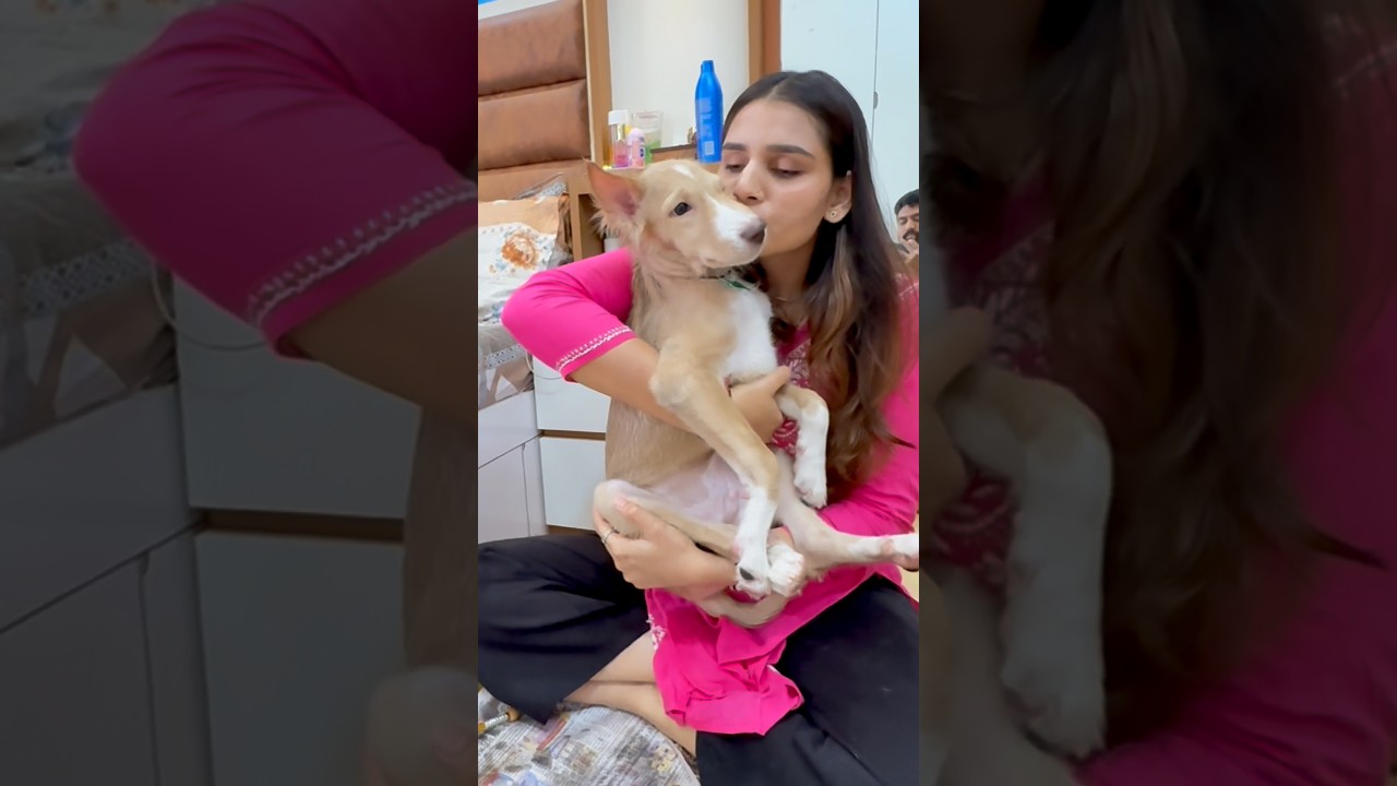 🐾A cozy day with my munchkin🧿🥰and my🌍#jiyaapanchaal#minivlog#dog#adayinmylife#streetdog#cutedog