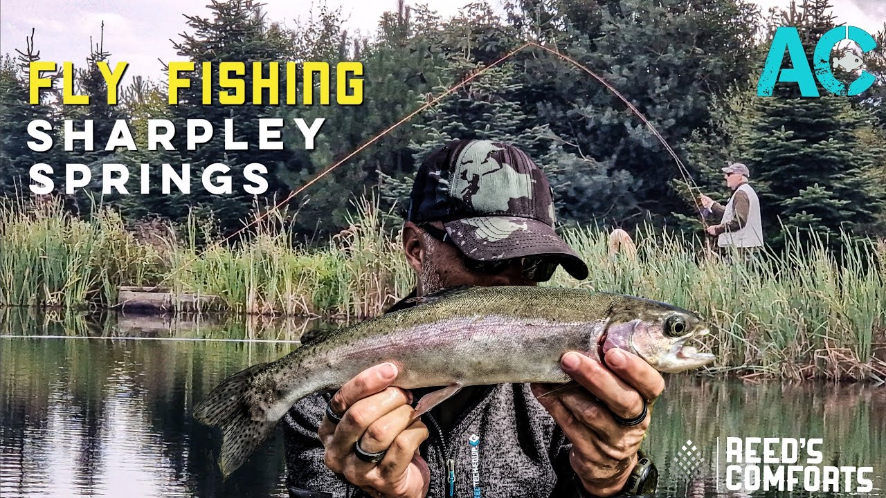 Fly Fishing at Sharpley Springs