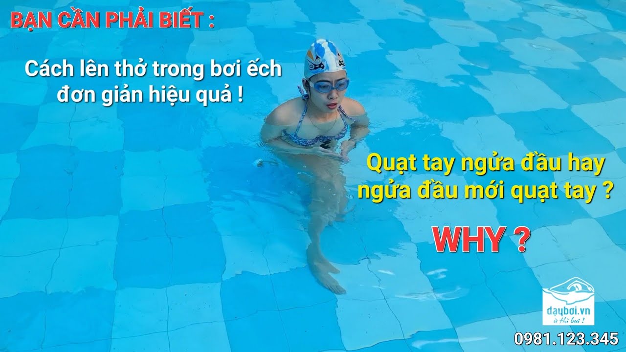 Nhịp Thở Bơi - Phương Pháp Kéo Tay Lên Thở Trong Bơi Ếch Cơ Bản Dành Cho Người Mới Bắt Đầu Học Bơi