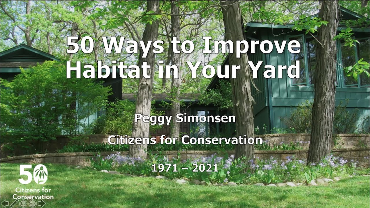 50 Ways to Improve Habitat in Your Yard