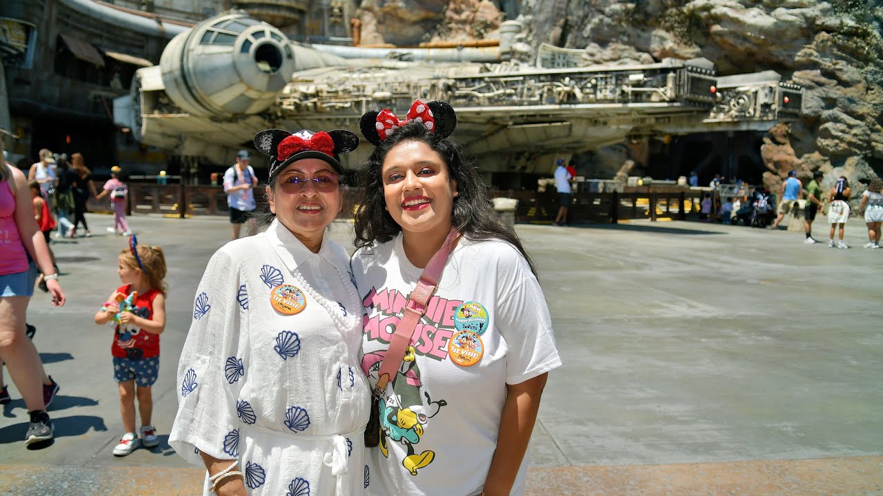 First time visit to Disneyland, California|One day itinerary|USA vlogs|Bengali vlogs