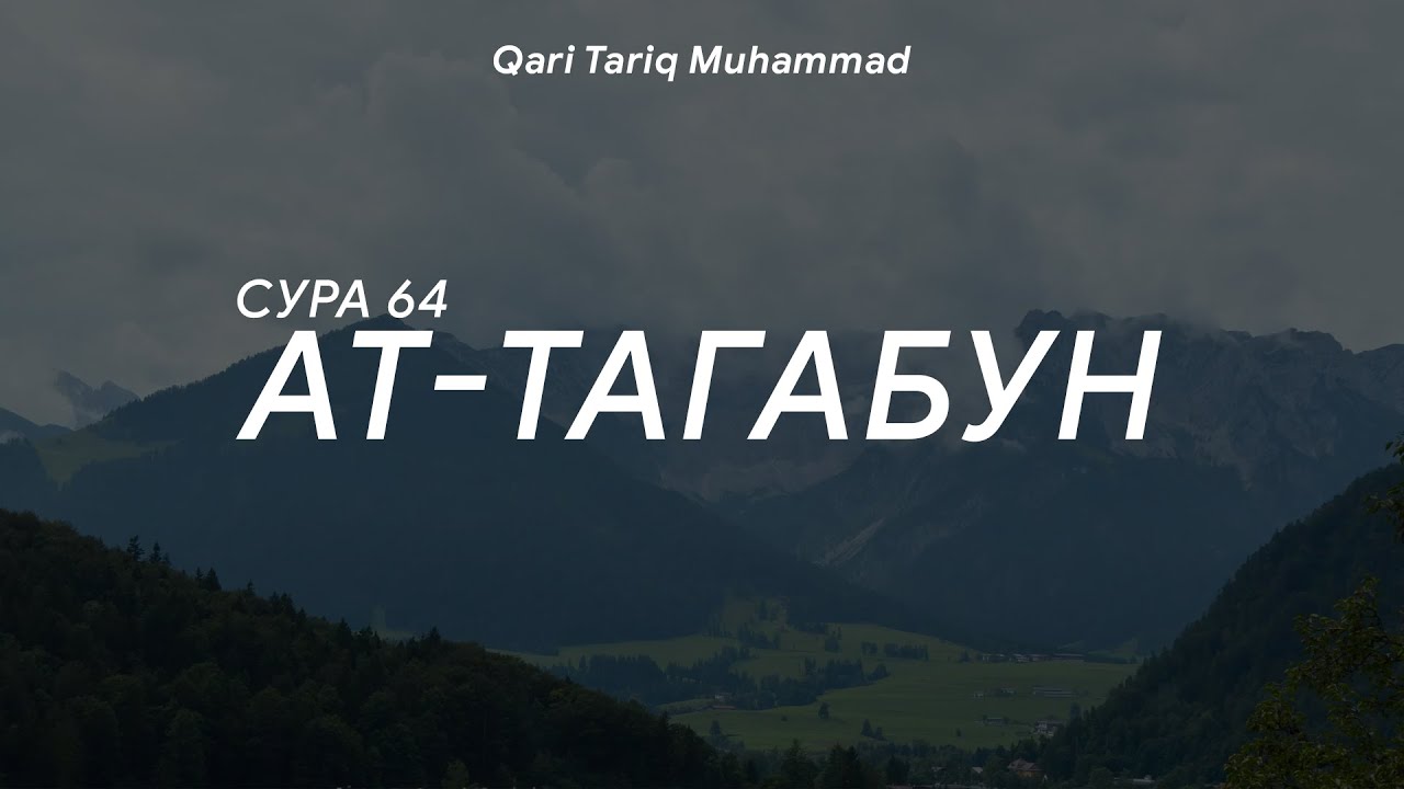 Сура 64 &laquo;Ат-Тагабун&raquo; - Мухаммад Тарик