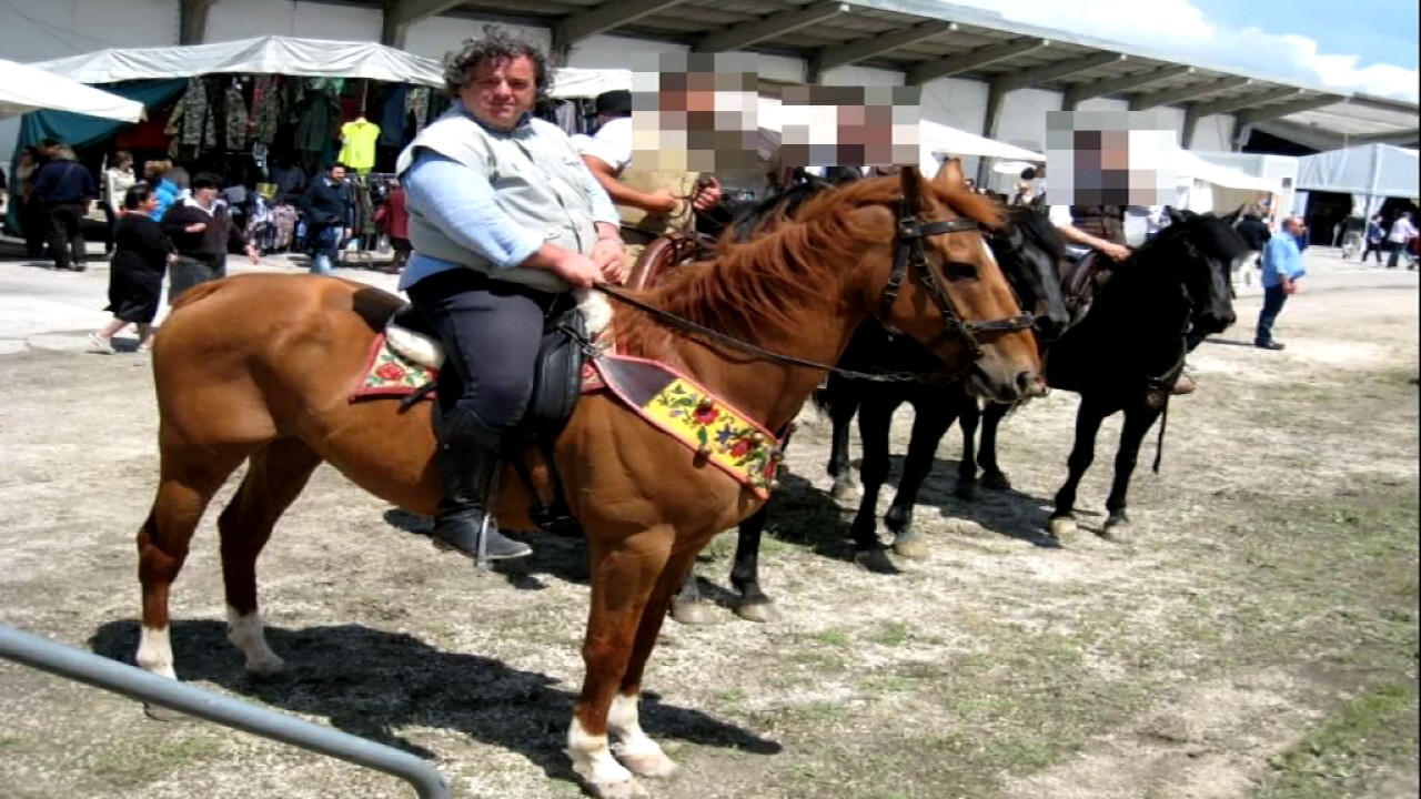 L'omicidio del veterinario, l'istruttore del fermato: 