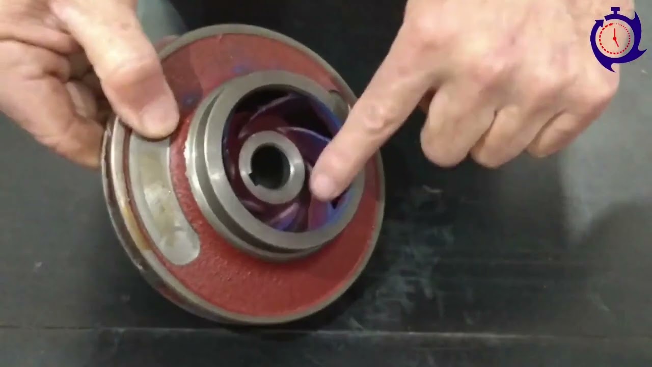 Rotor