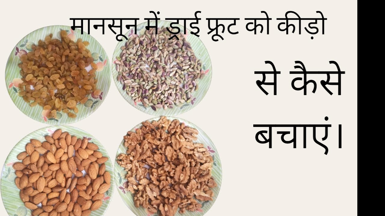 मानसून के मौसम में ड्राई फ्रूट को कीड़े लगने से कैसे बचाएं। tips for prevent dry fruit from insects.