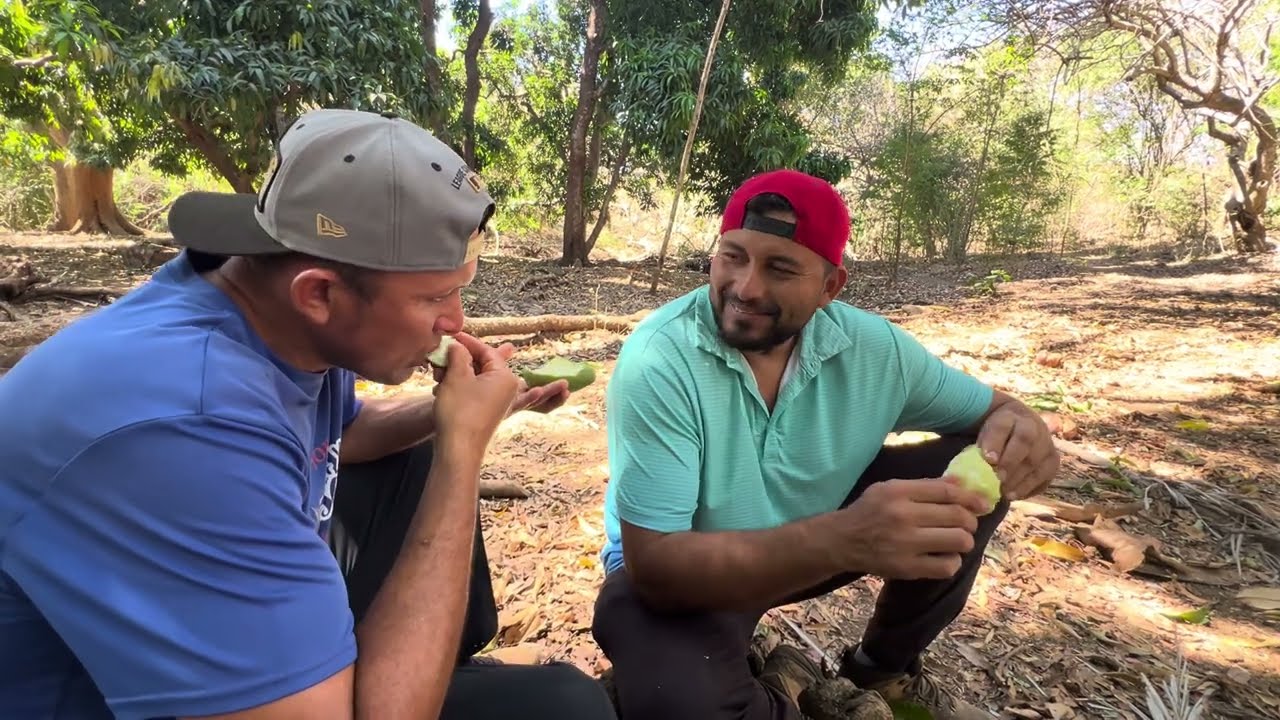 Disfrutando mangos y cocos secos en San Juan 