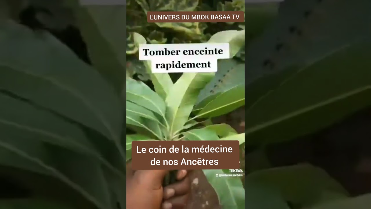 13 LE COIN DE LA MEDECINE DE NOS ANCÊTRES /Astuces pour tomber enceinte. 