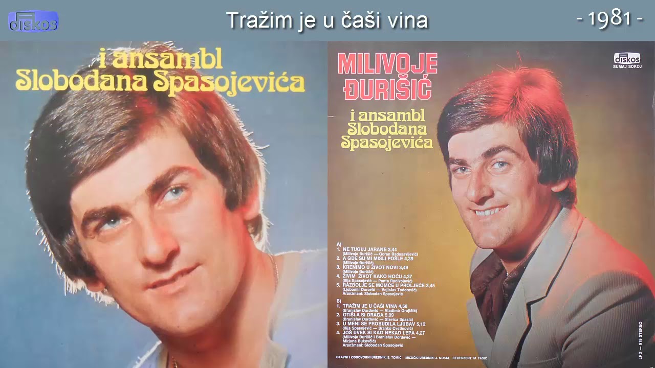 Milivoje Djurisic - Trazim je u casi vina - (Audio 1981)