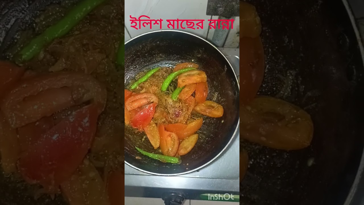  ইলিশ মাছ রান্না করলাম