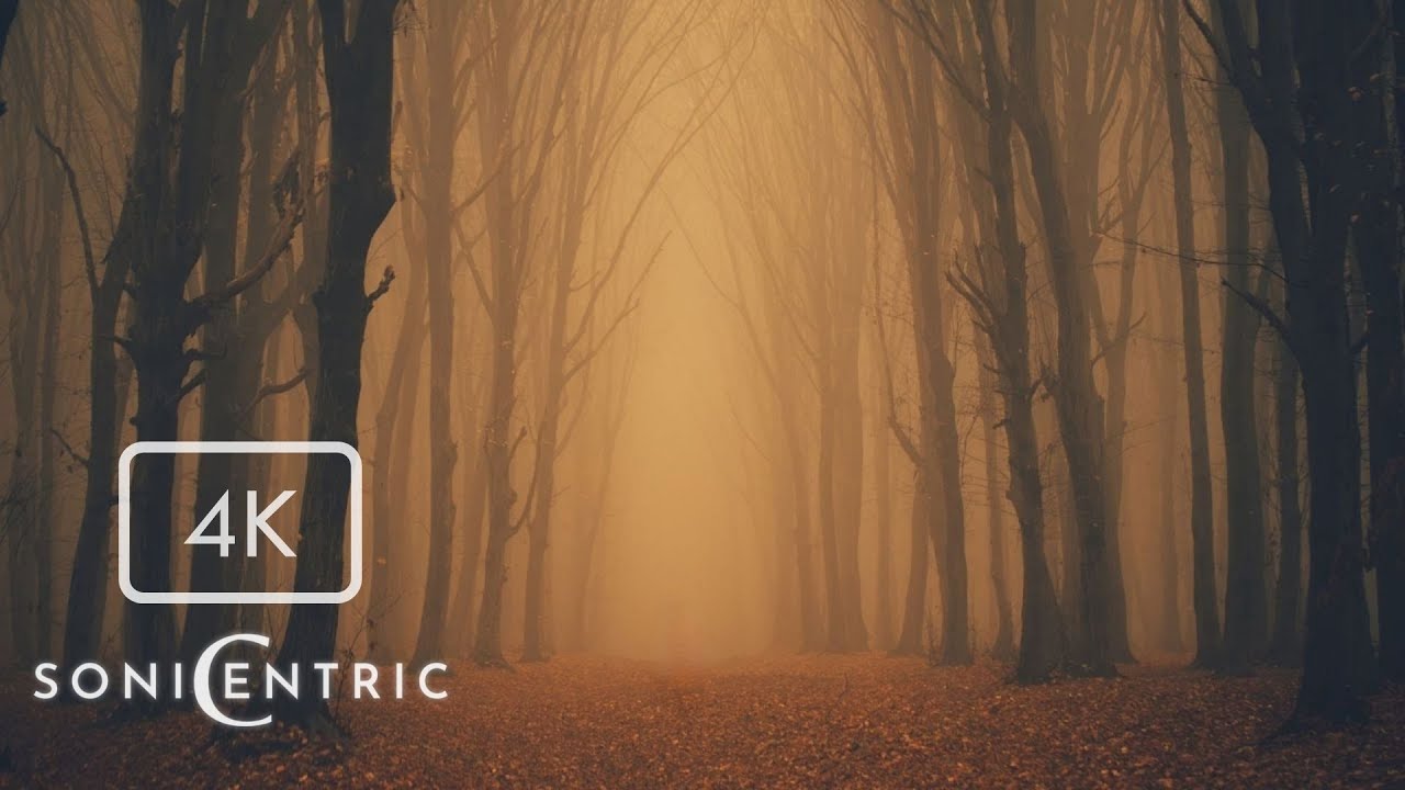 Haunting Ambience with Halloween Music | 4K Creepy Halloween Visual | Produced by SoniCentric