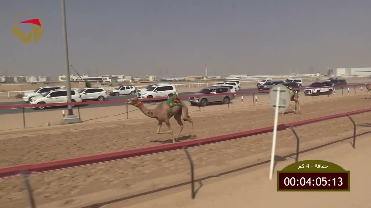 سباق الحقاقة – الطي 01-03-2026 ش10 المندفع لـ حمد عبدالله حسن أحمد المرزوقي  5:52