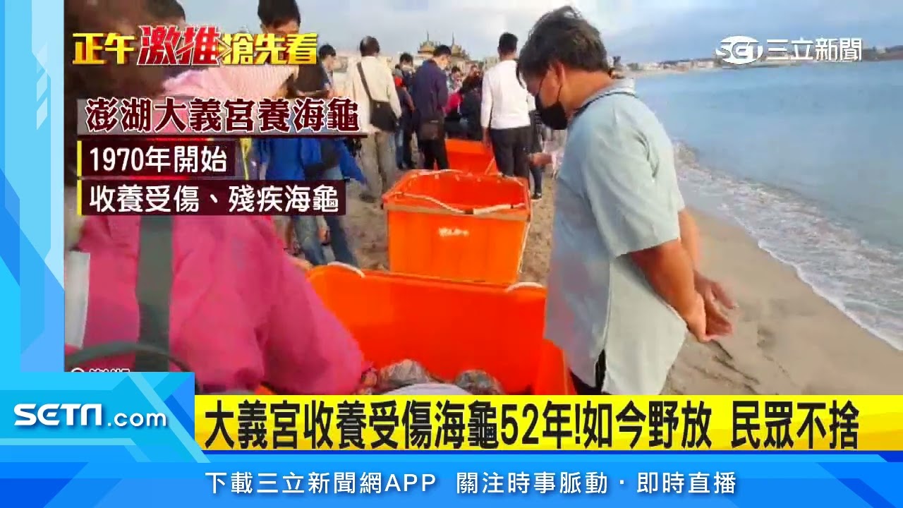 回家了！澎湖大義宮「圈養33年」5海龜昨日野放　民眾不捨｜三立新聞台
