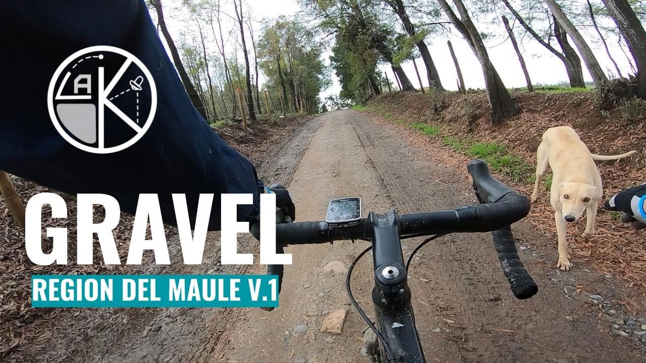 GRAVEL 120K -  Región del Maule -  Perros vs Bicicletas