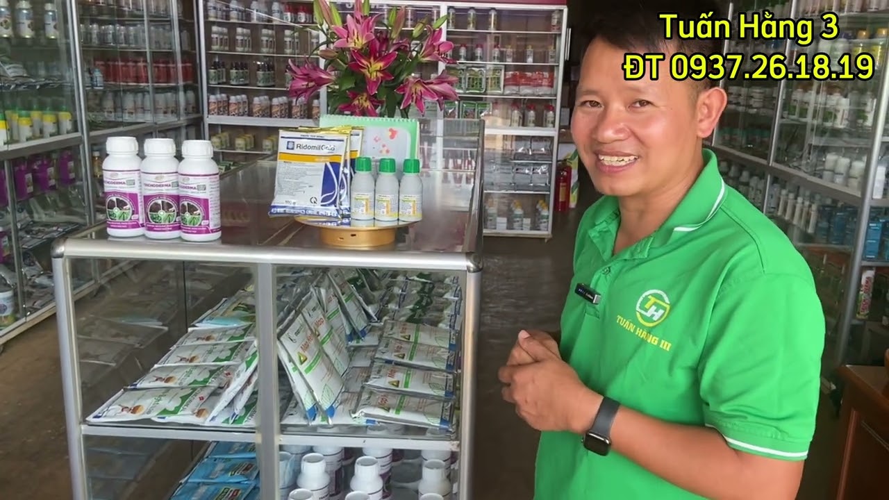 Ridomil Gold + Tervigo cặp đ&ocirc;i ho&agrave;n hảo#c&acirc;y#caytrong#thuocbvtv | TUẤN HẰNG 3