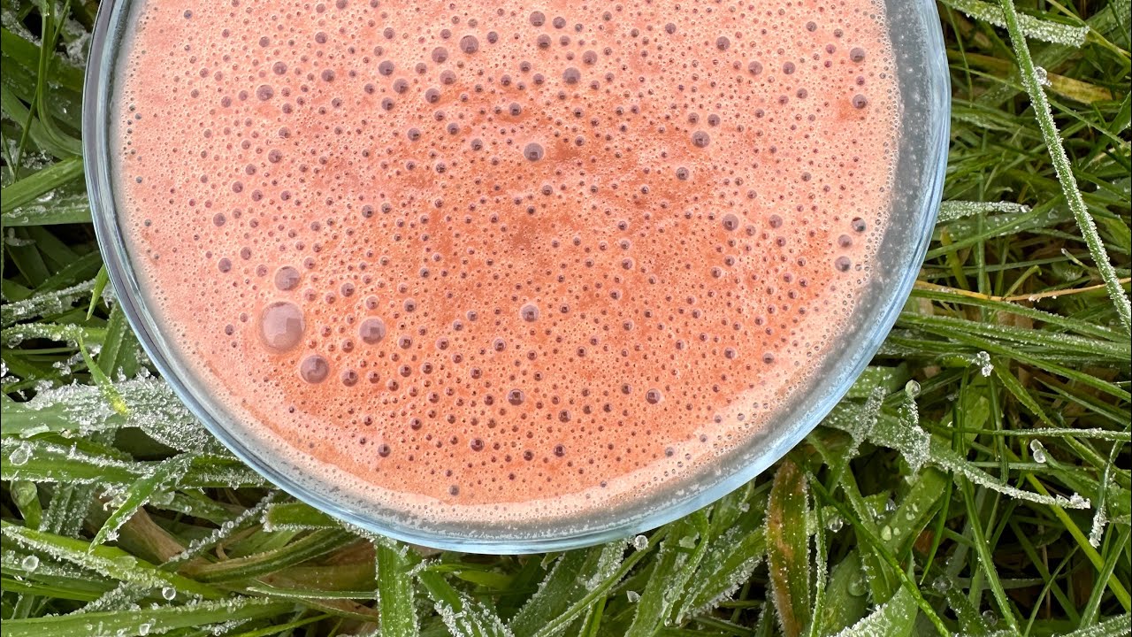 Mugwort hot chocolate and tea for those lucid dreams 🤩🌿 💤