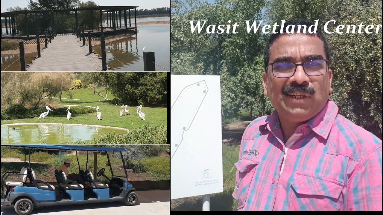 Wasit Wetland Center   Sharjah