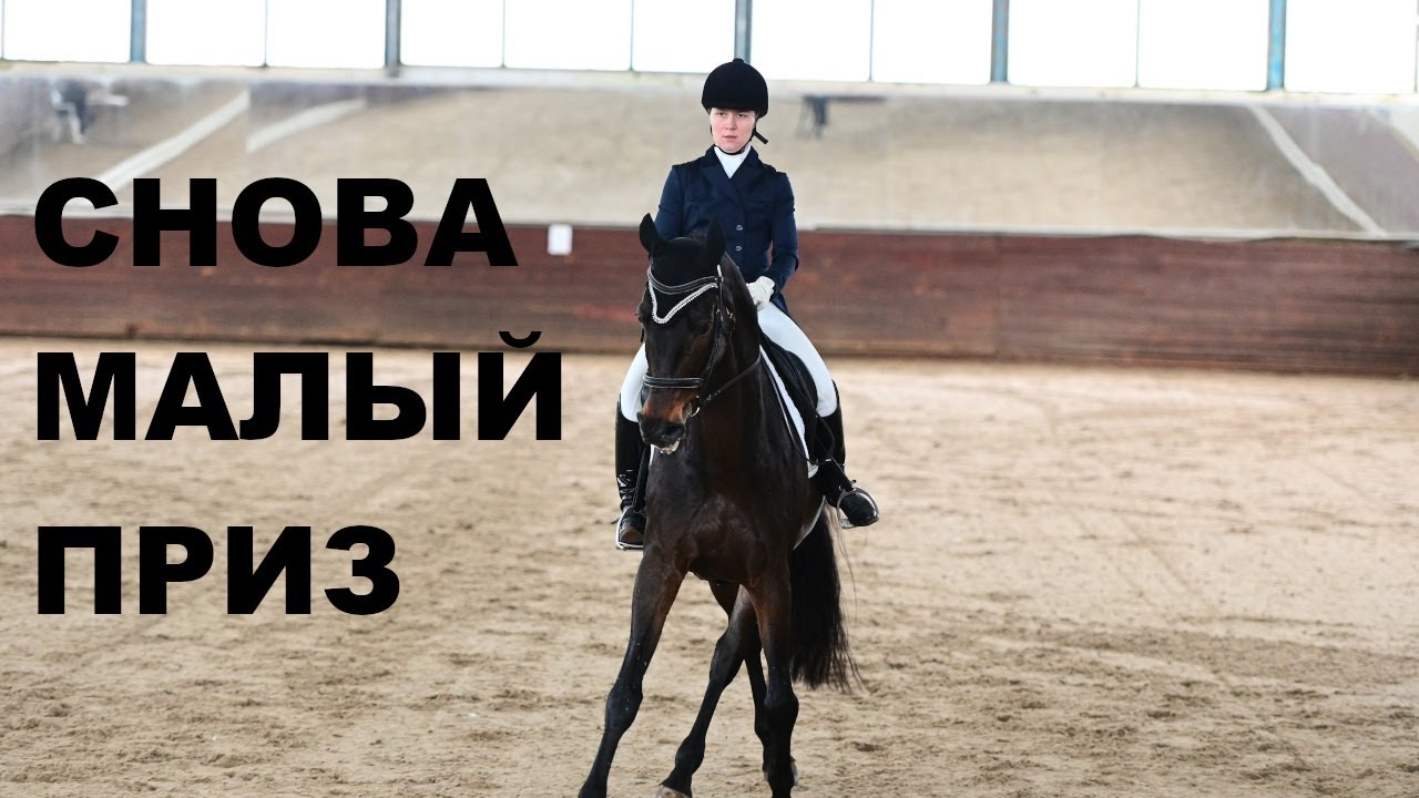 СНОВА МАЛЫЙ ПРИЗ