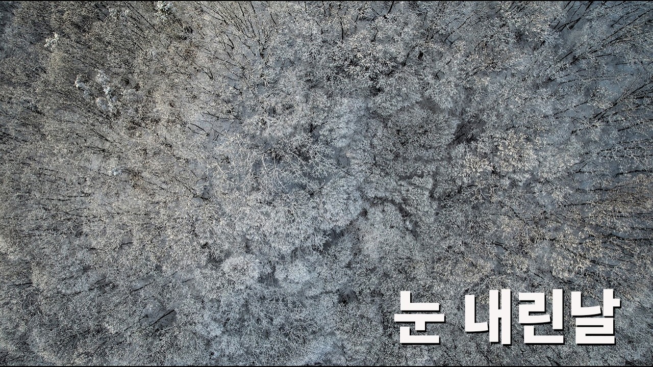 눈 내린 날 하늘에서 본 세상