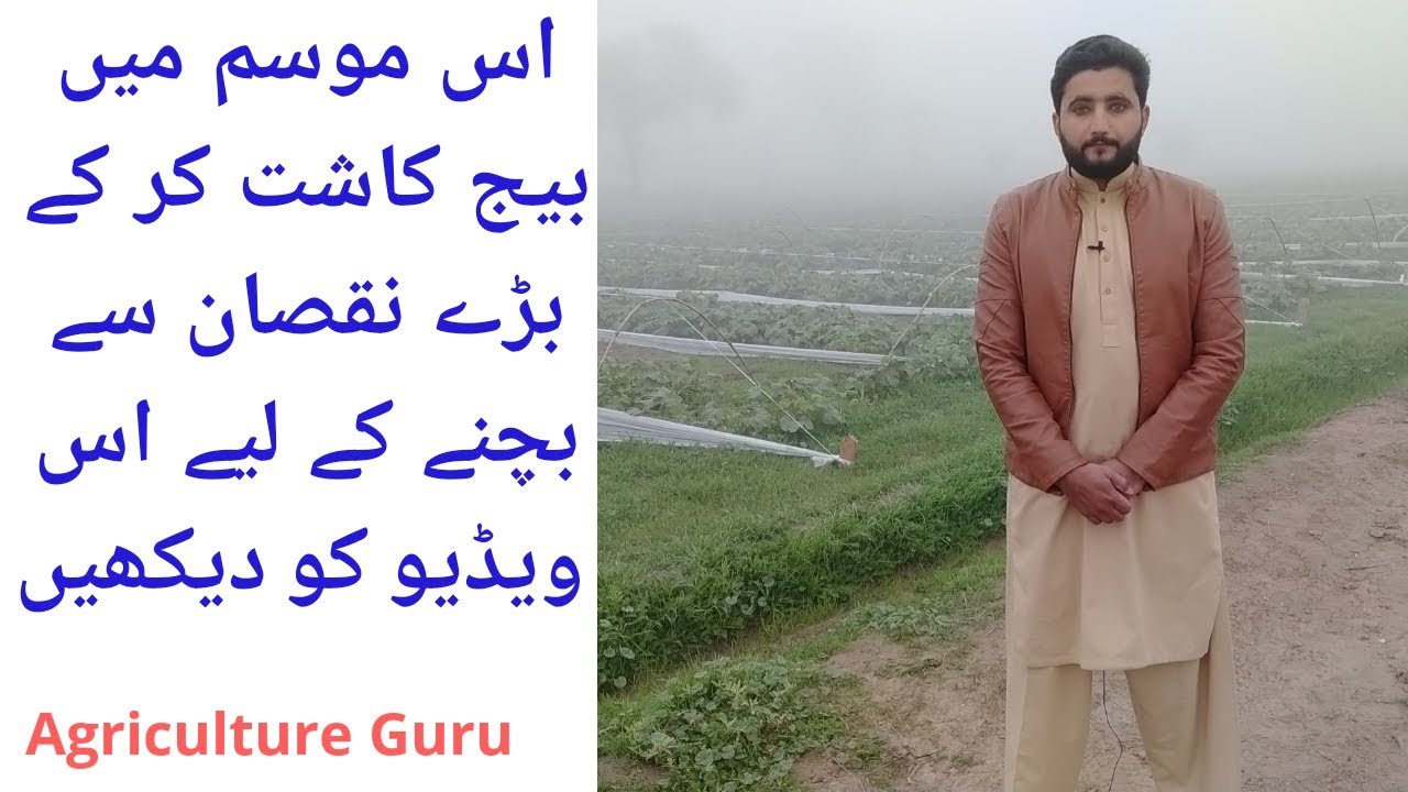 Why today's germination of seed is not possible.? Temperature |Rain | Agriculture guru