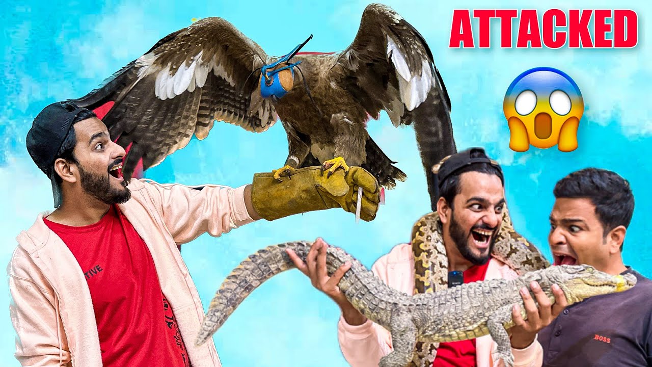 10 LAKH ka UQAAB 😱 | Crocodile Ne ATTACK kardia😭