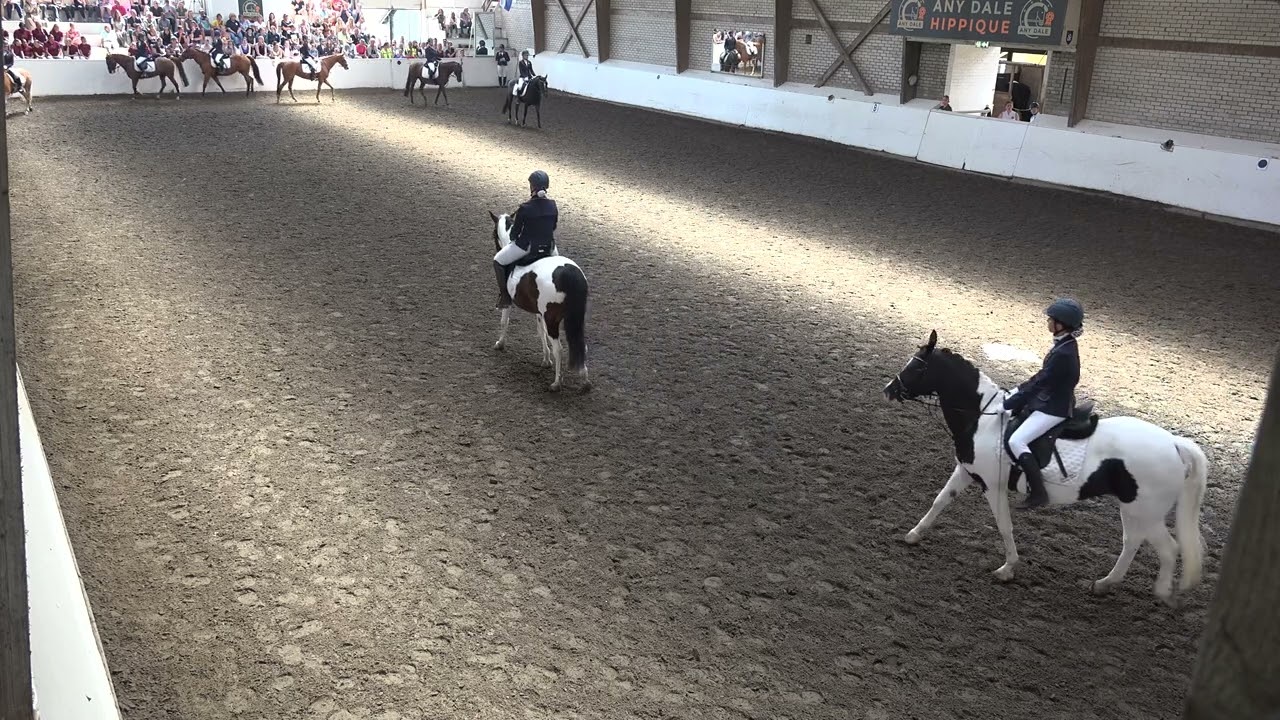 Blijf Gericht Nederlands kampioenschap Carrousel 2025 -   Bleijenberg's Young Spirit