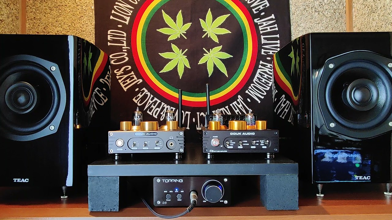 TEAC S-300NEO  DOUK Audio P1 プリアンプとDOUK Audio X1パワーアンプ音質