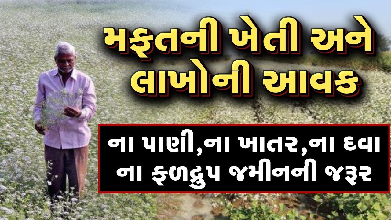 નબળી જમીન,મફતીયો પાક,ના પાણીની જરુર,ના કોઈ રોગ આવે,ના કોઈ પશુ ખાઈ,એક વખત વાવવા જાવ અને બીજી વખત લણવા