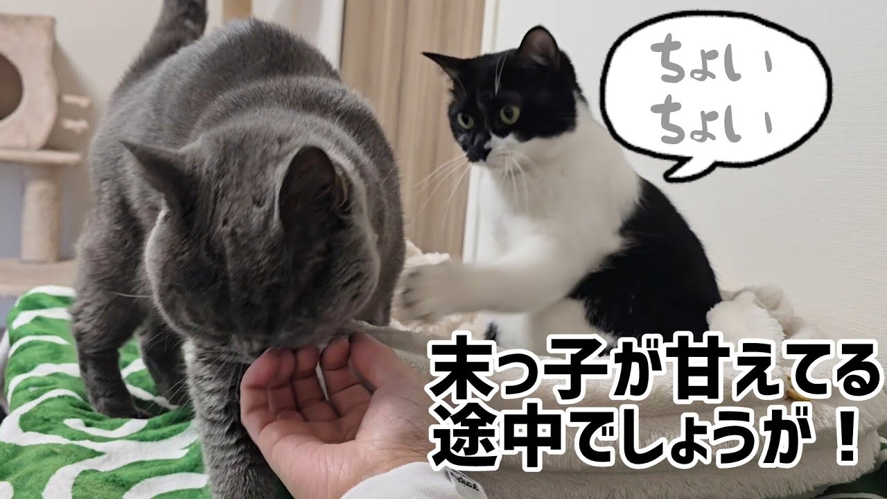 末っ子が甘えてる途中でしょうが！www