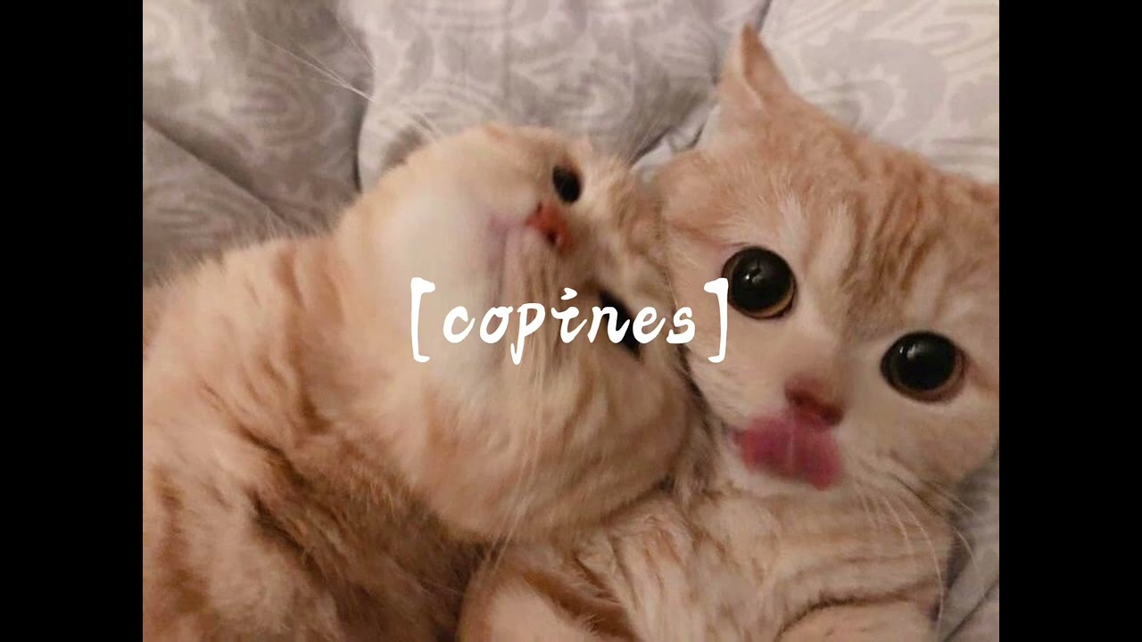 Copines (slowed + reverb)