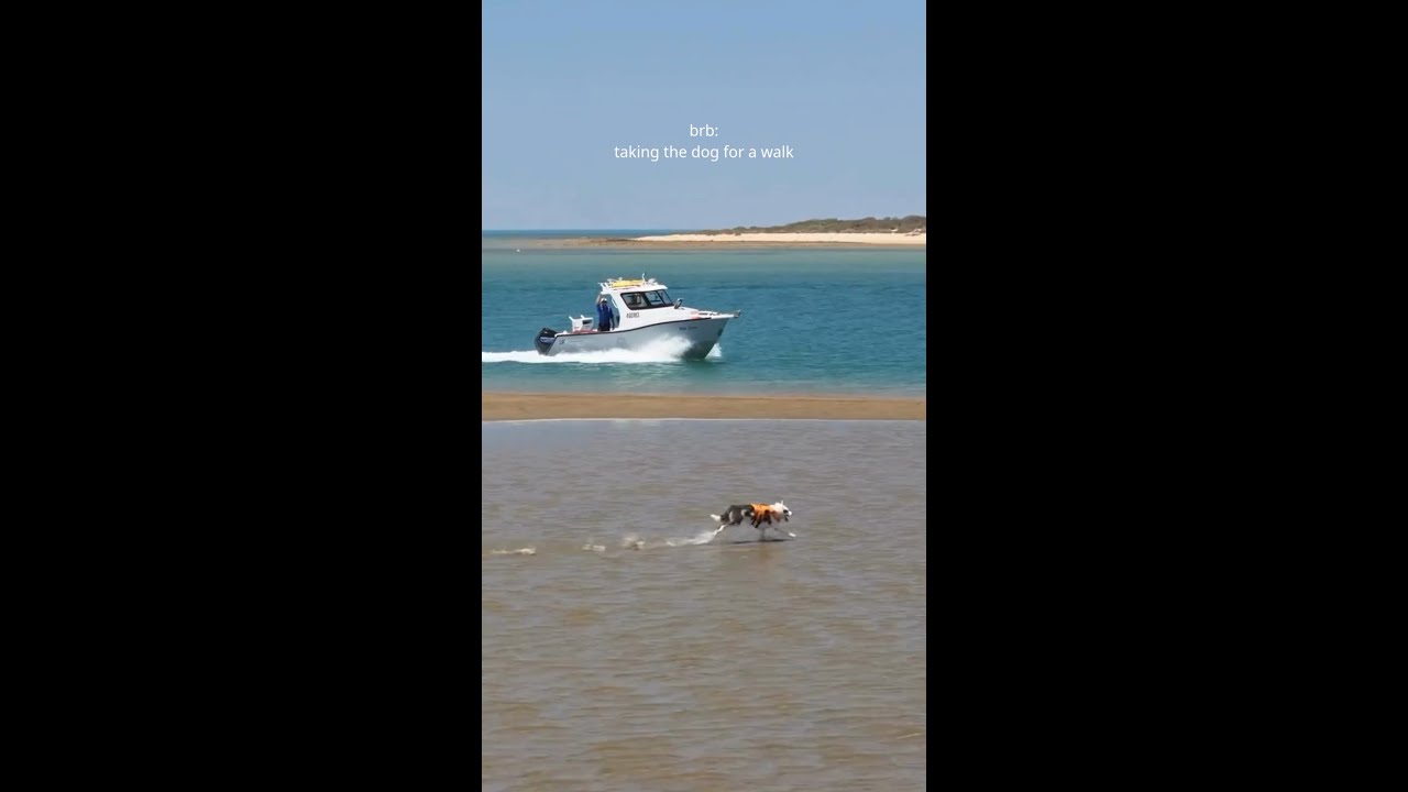 Adventure goals: taking the dog for a ‘walk’ – Exmouth style!🐕💨📍 