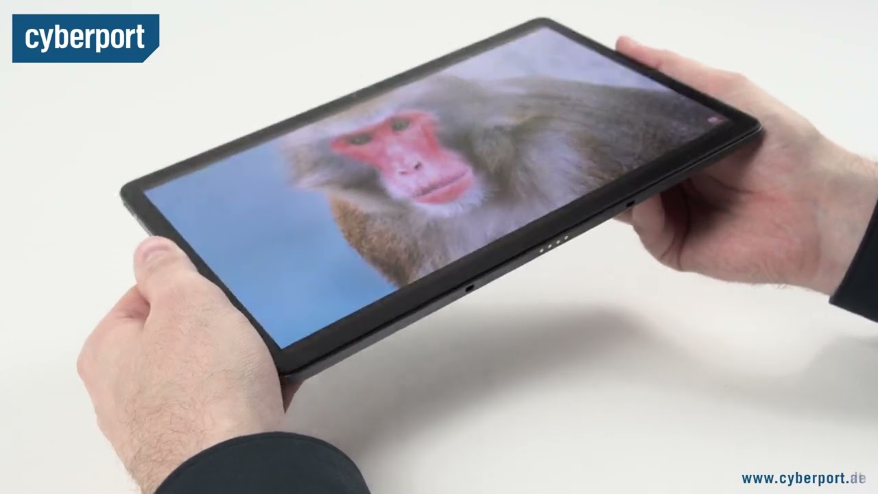 Lenovo Tab P11 Pro G2 im Test | Cyberport