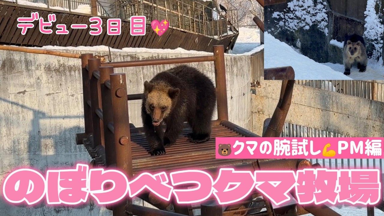 【2026/02③】デビュー3日目🐻クマの腕試し💪PM編