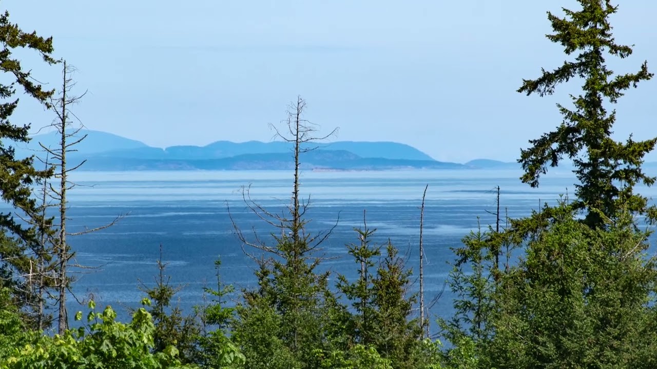 2 Acre Waterview Lot on View Ridge Dr, Sequim, WA $150,000