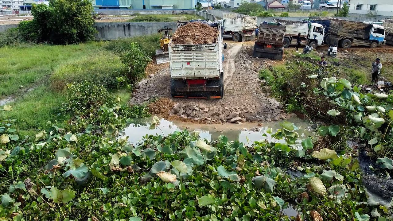 Wow! Perfect Landfill Work! Filling Lake with Stones Using D30P Dozer Push & Dump Truck Unloading