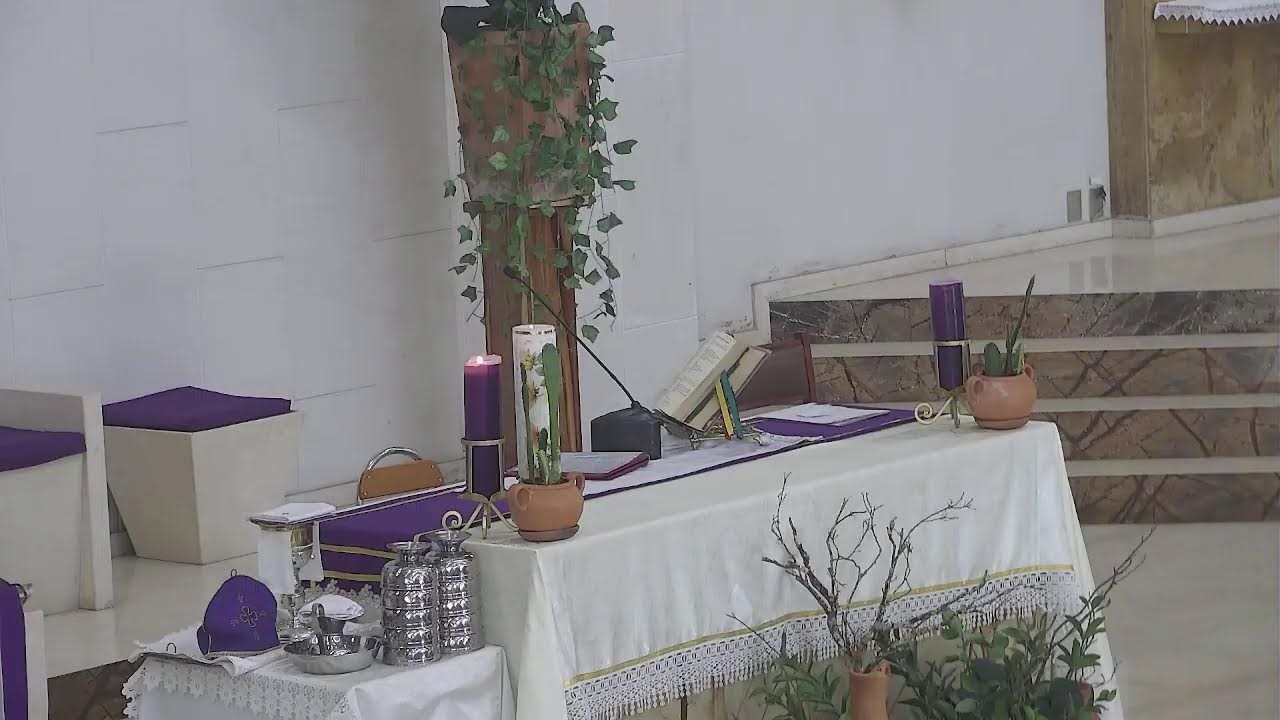 SANTO ROSARIO Y SAGRADA EUCARISTIA, DOMINGO 22 DE FEBRERO 11:00 A.M