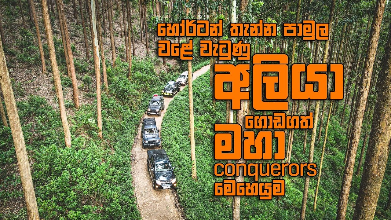 හෝර්ටන් තැන්න පාමුල වලේ වැටුන අලියා ගොඩගත් මහා conquerors මෙහෙයුම.