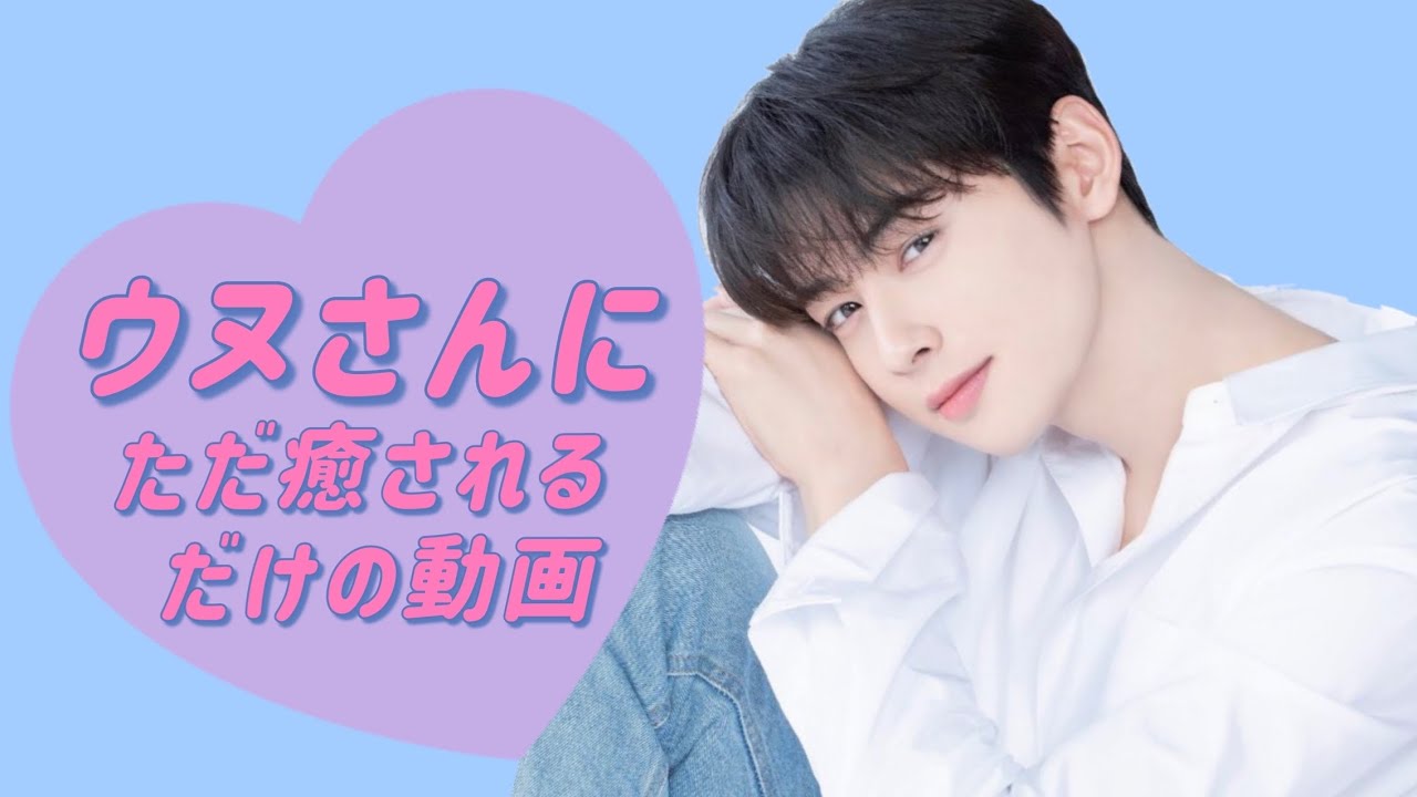 【ASTRO】顔天才ウヌさんにただひたすら癒されるだけの動画【プチ日本語字幕】