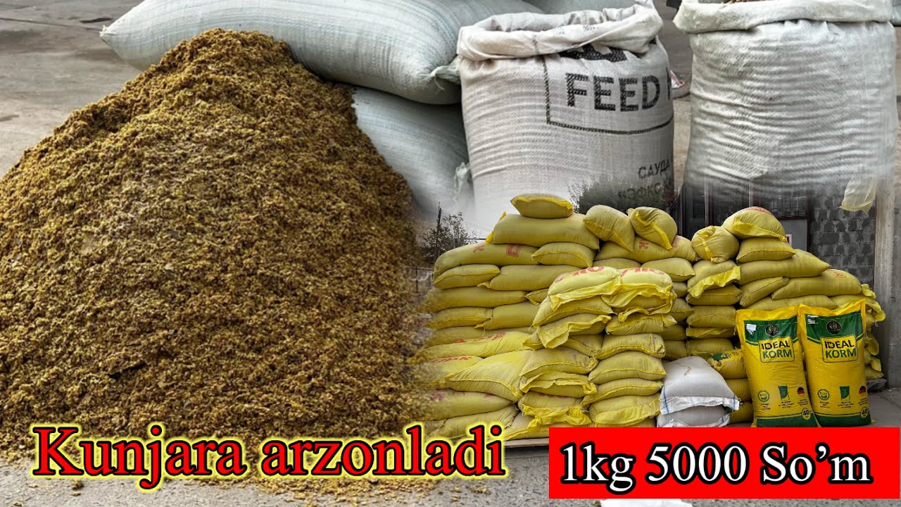 KUNJARA ARZONLADI .1 kg 5000 So’m.  Yem turlari va Narxlari . Dastafka hizmati bor 