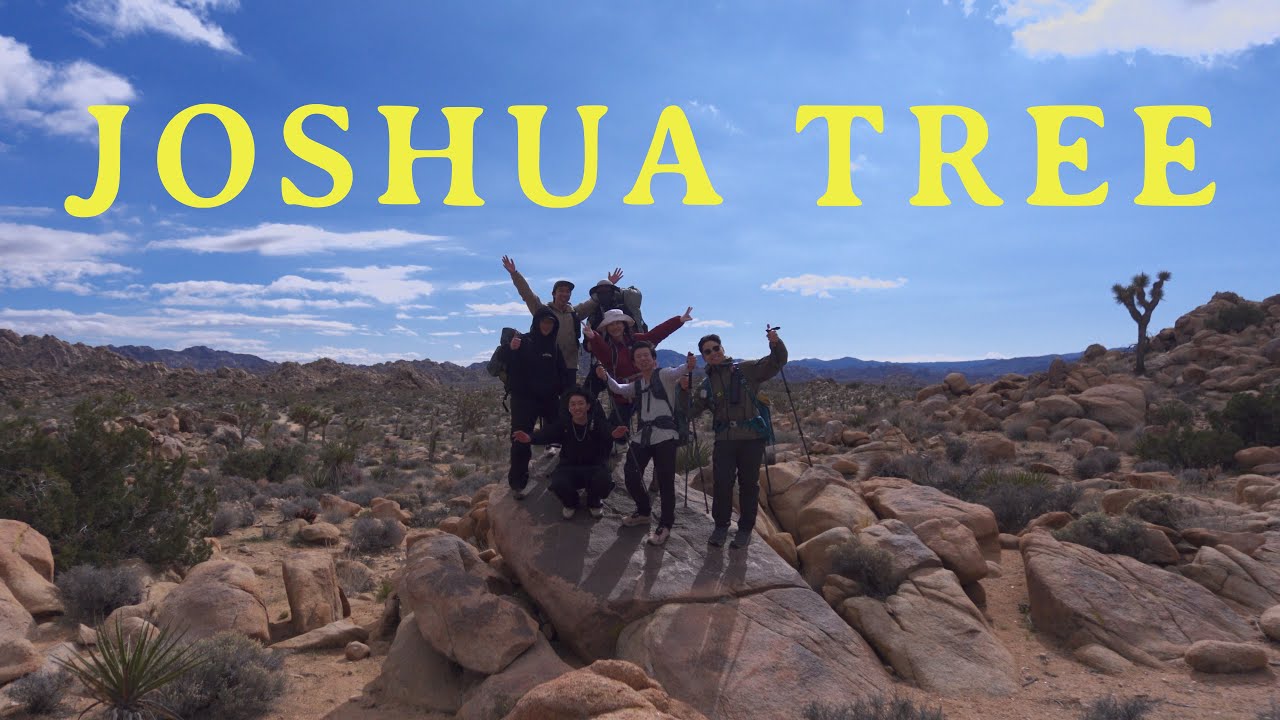 I went backpacking for the first time with my friends in joshua tree