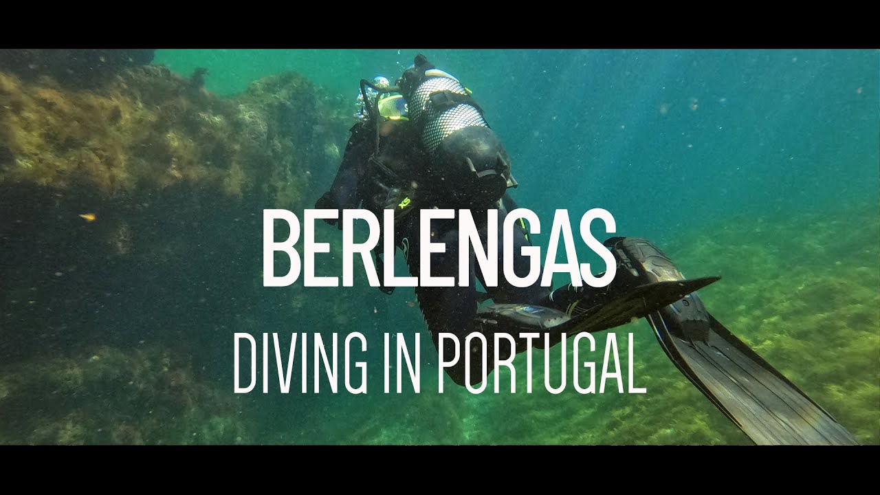 Dive @ Berlengas
