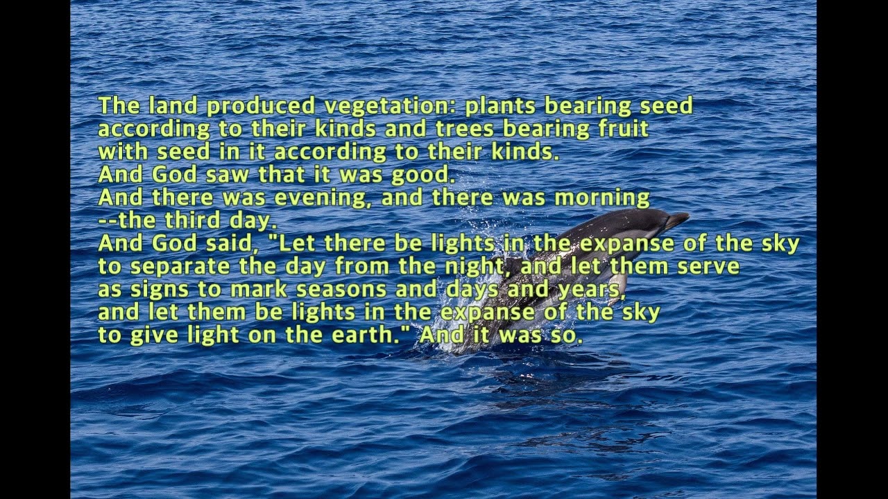 Genesis chapter 1, The Bible, NIV, ahnpav, 안파브, Pav Ahn, reading The Bible in English,  영어성경읽기