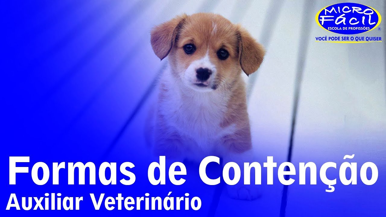 Auxiliar Veterinário - Formas de Contenção