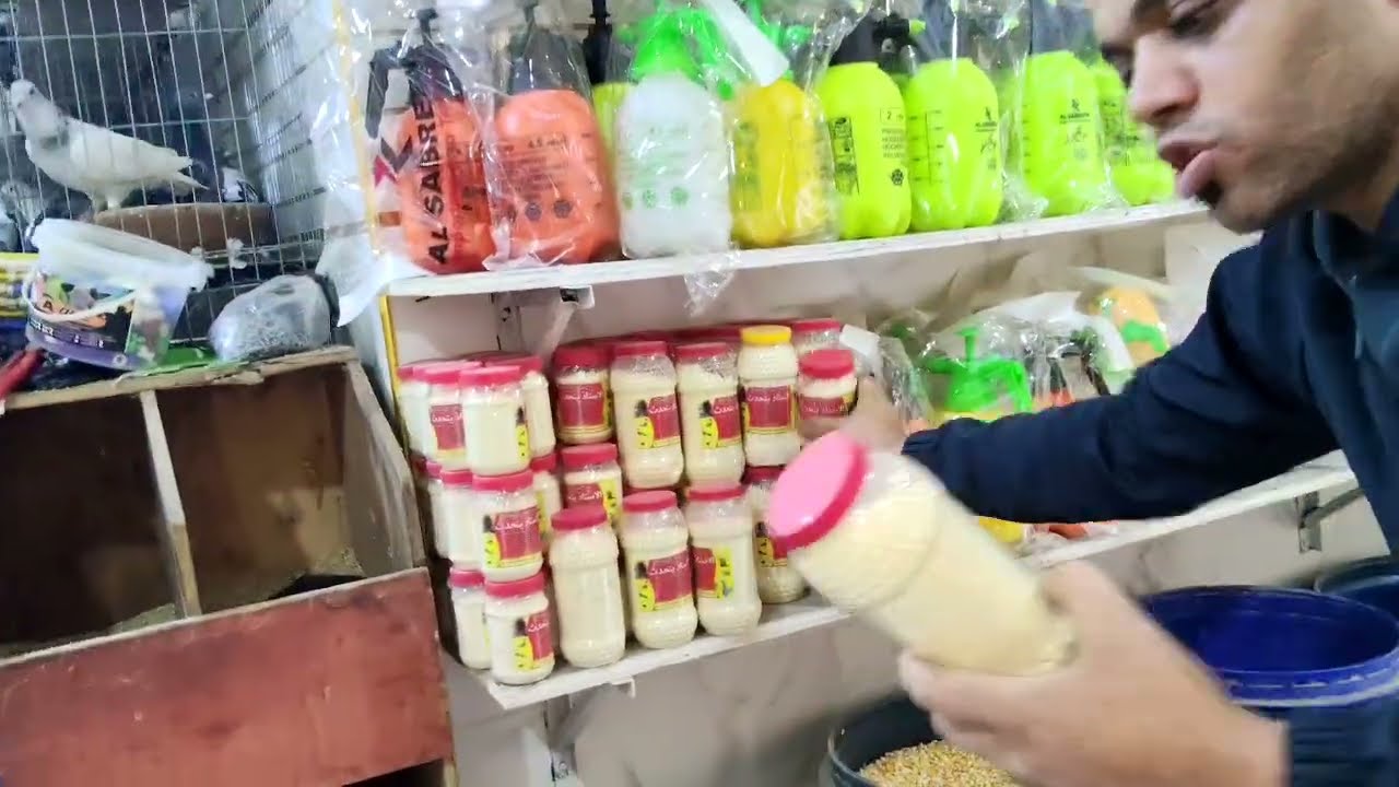 عرض على كل ملتزمات الحمام والكلفه خميس وجمعه وسبت داخل معرض العنانى مع الحمام