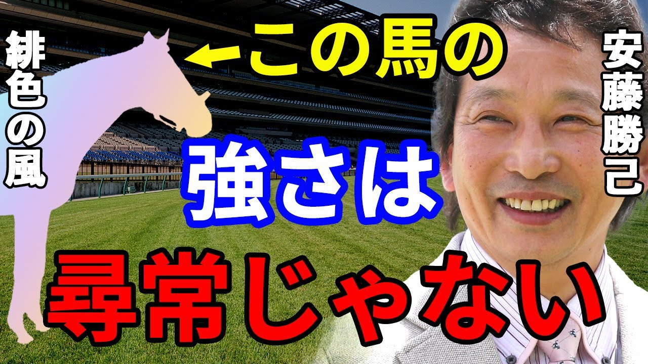 安藤勝己「この馬はウオッカよりも上です」華麗なる一族！名門社台ファームが送り出す緋色の風と呼ばれた馬とは 【競馬】