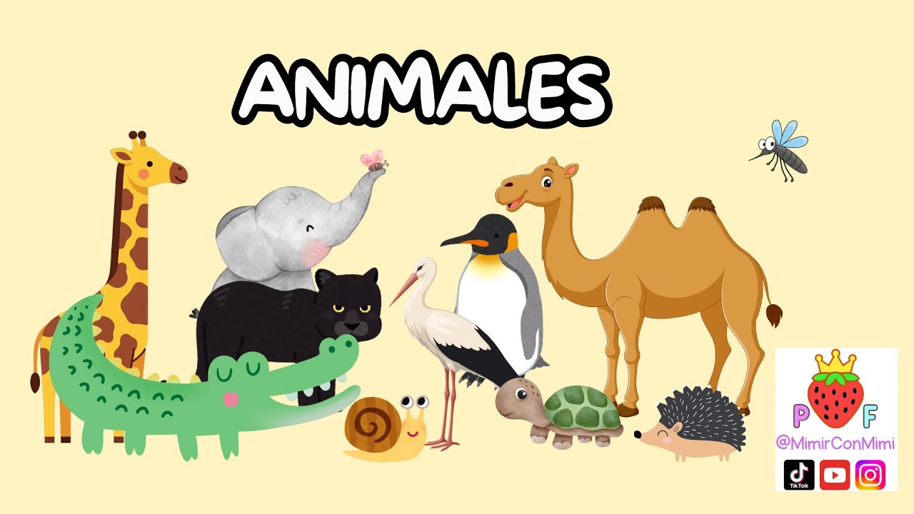 Cuento cantado - animales