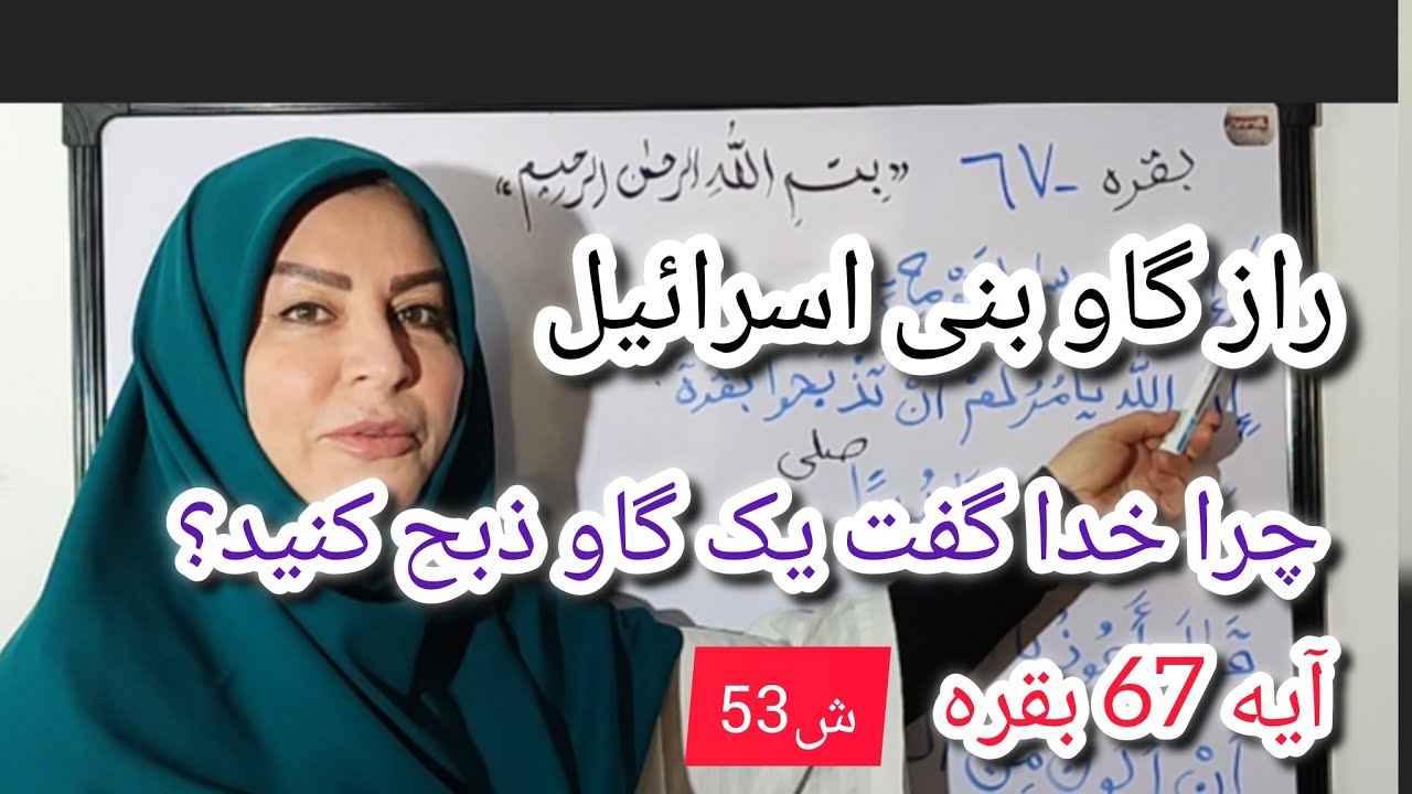  راز گوساله بنی اسراييل!؟چرا خدا گفت یک گوساله ذبح کنید؟ 
