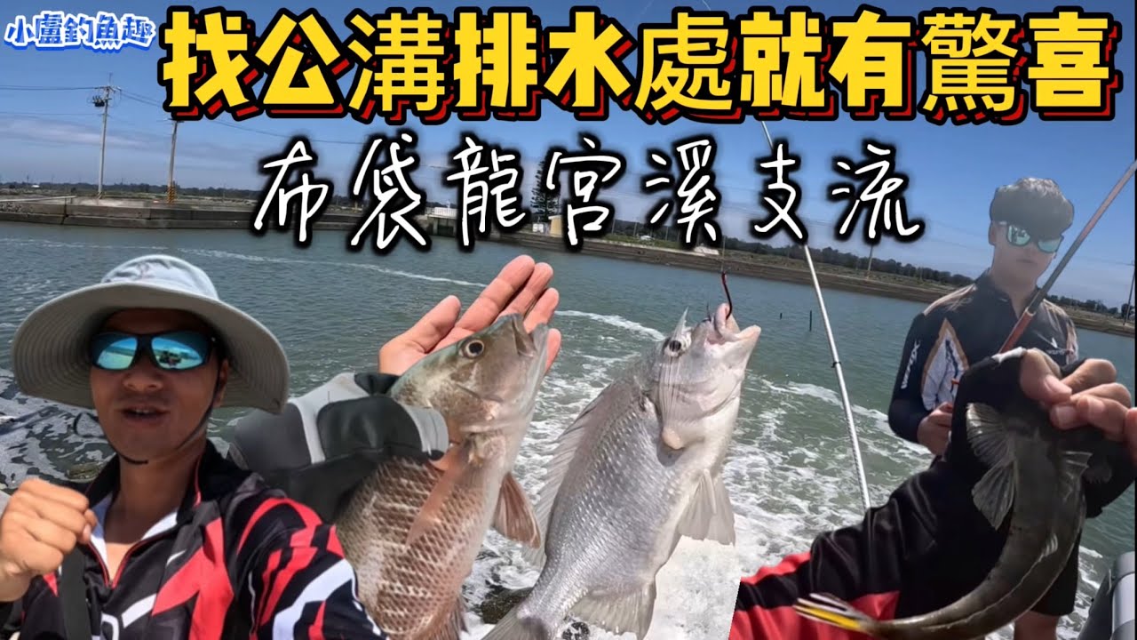 公溝怎麼釣？找排水處就有驚喜啦～